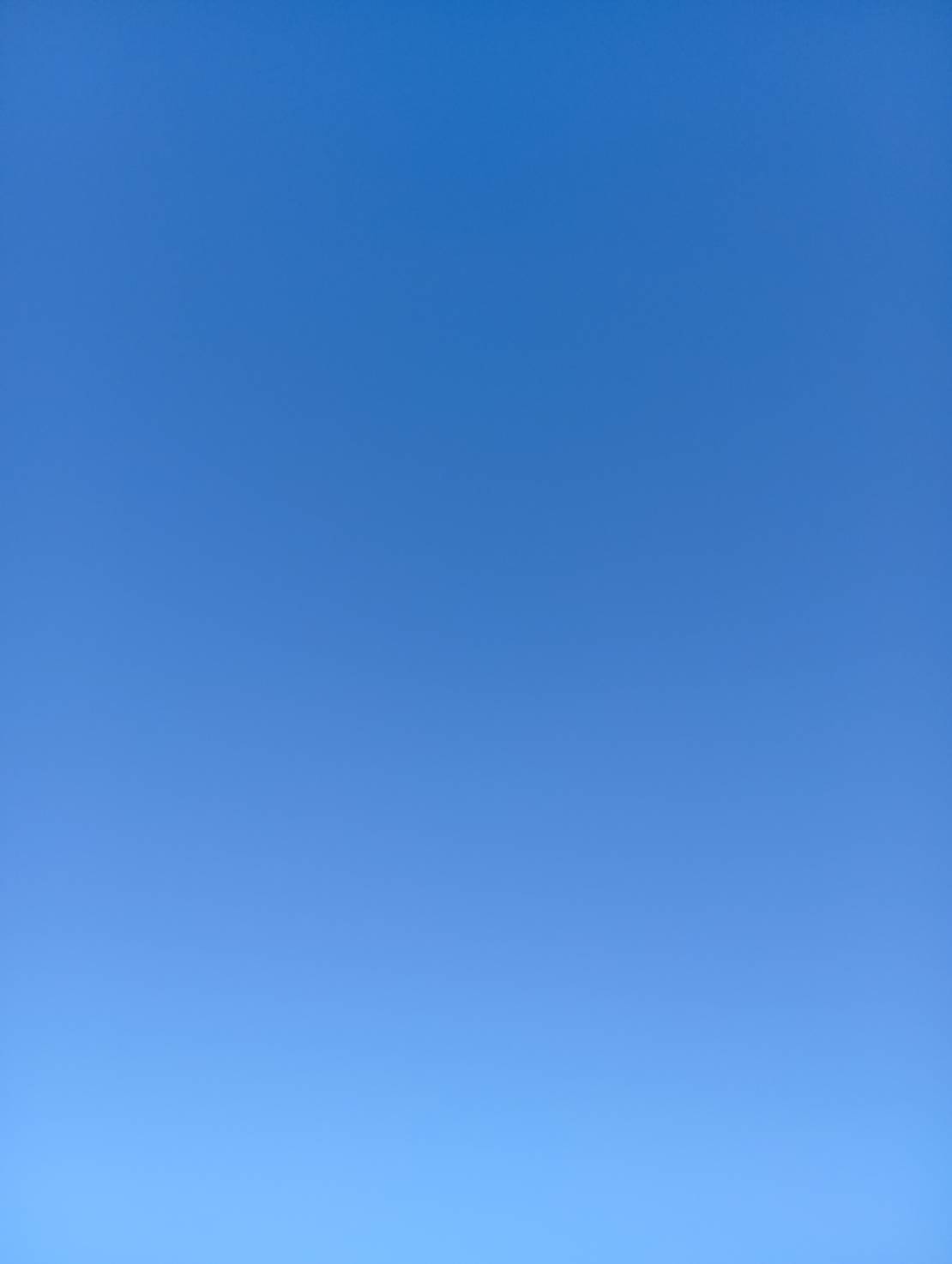 619155053806617094